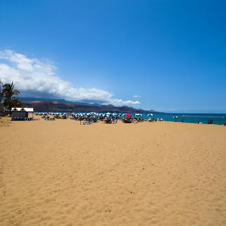 Palmas *